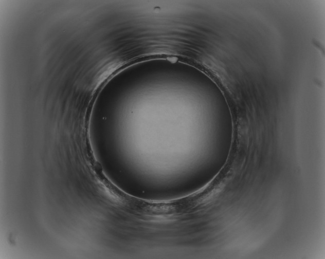 X0000092051129200709121207