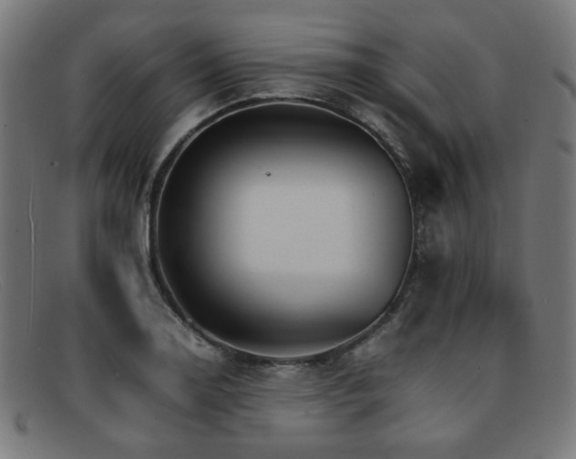 X0000092051130200709121207