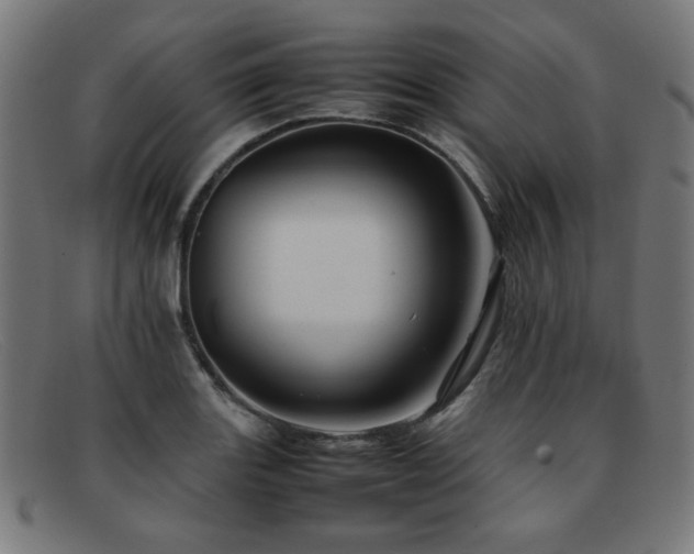 X0000092051131200709121207