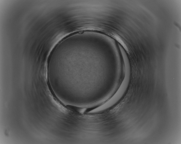 X0000092051132200709121207