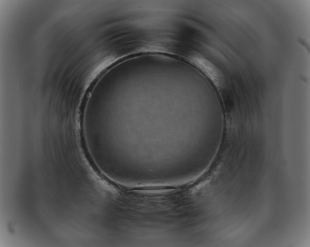 X0000092051133200709121207