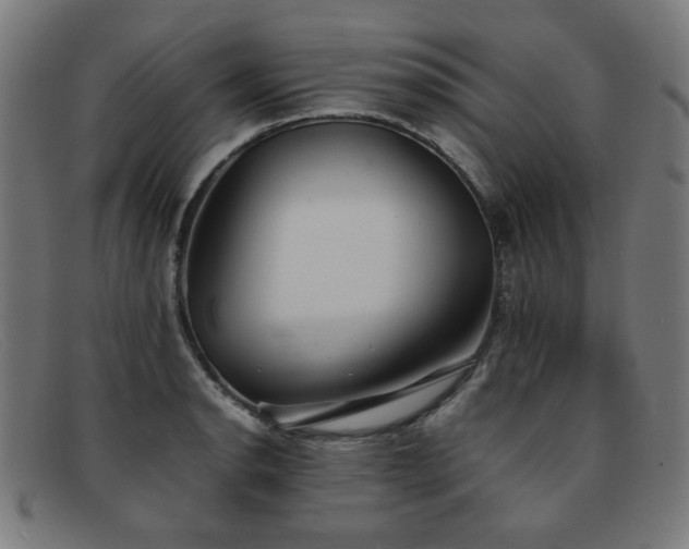 X0000092051134200709121207