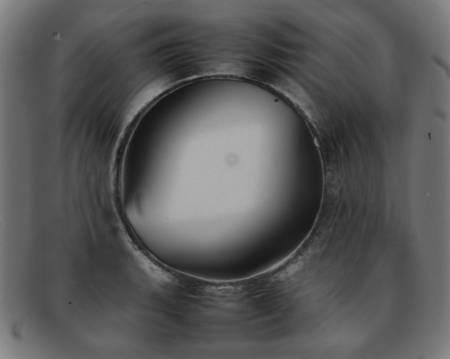 X0000092051135200709121207