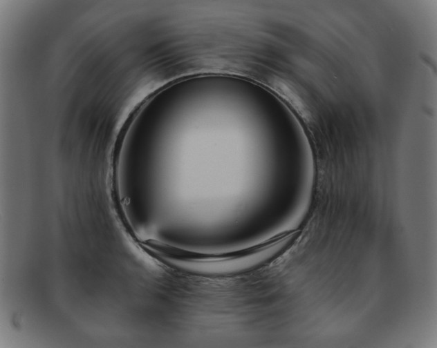 X0000092051136200709121207