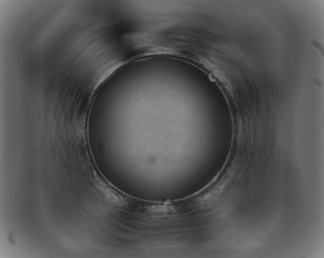 X0000092051137200709121207