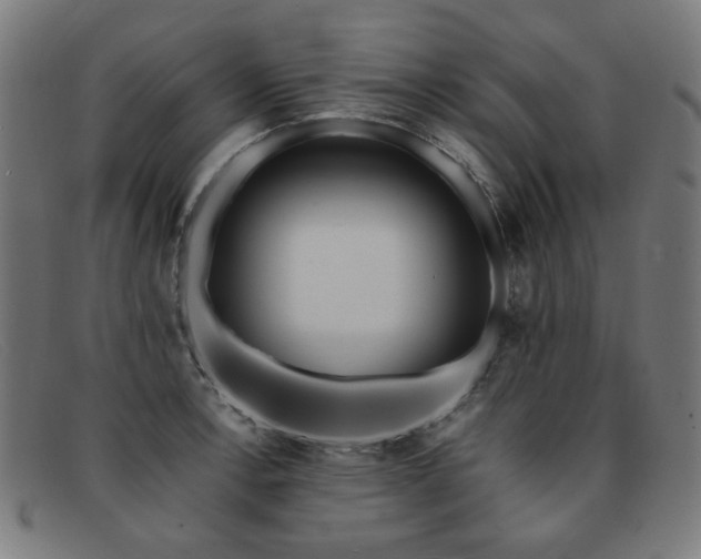 X0000092051138200709121207