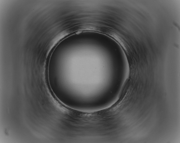 X0000092051139200709121207