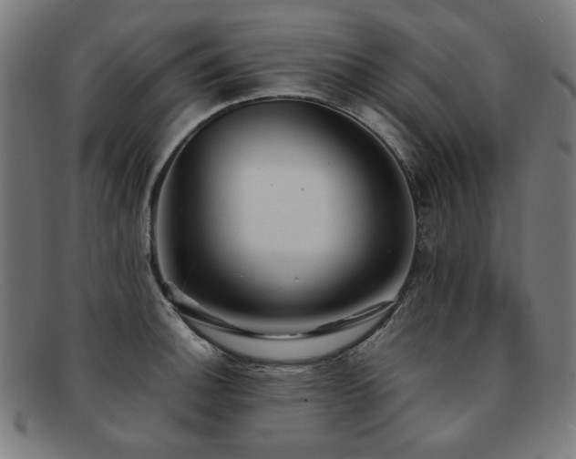 X0000092051140200709121207