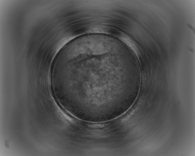 X0000092051141200709121207