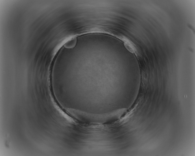 X0000092051142200709121207