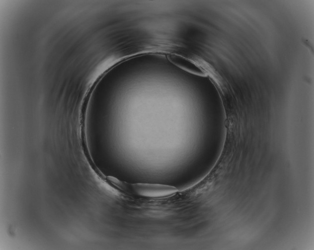 X0000092051143200709121207