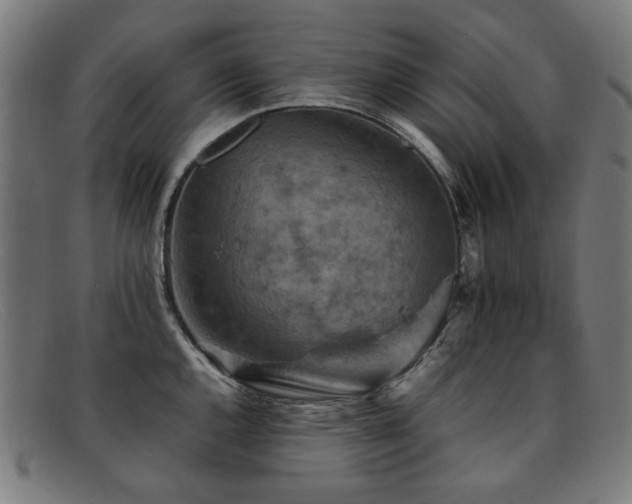 X0000092051144200709121207