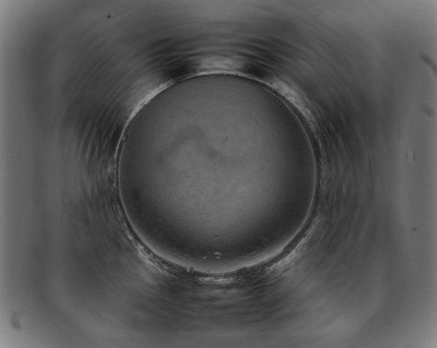 X0000092051145200709121207