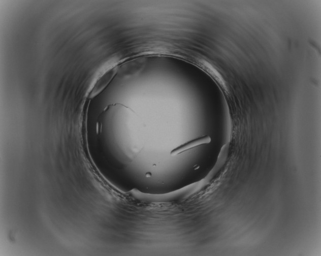 X0000092051146200709121207