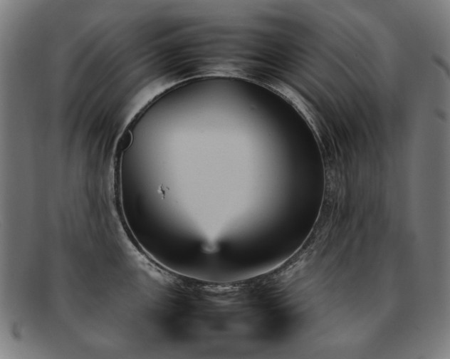 X0000092051147200709121207