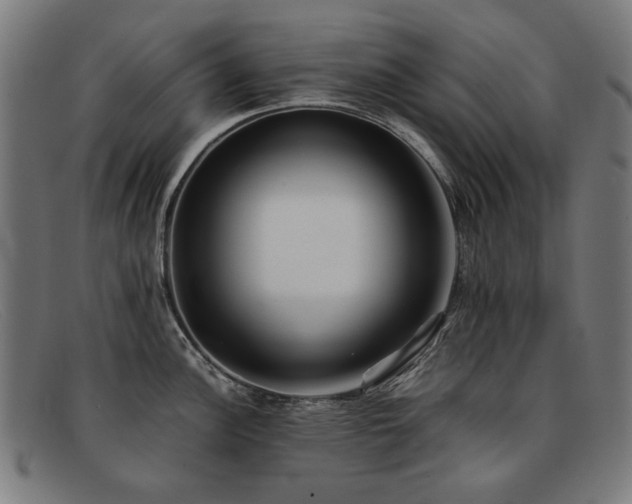 X0000092051148200709121207