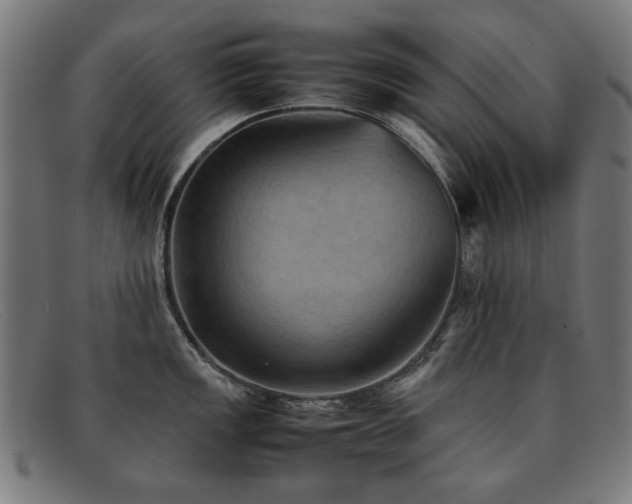 X0000092051149200709121207