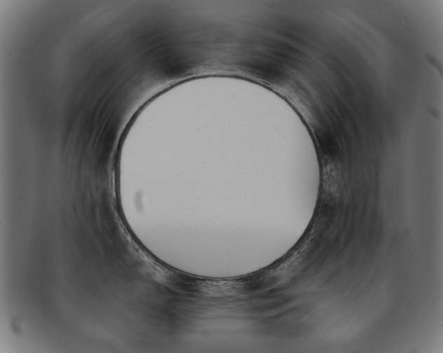 X0000092051150200709121208