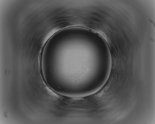 X0000092051151200709121208