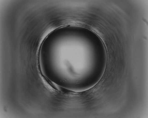 X0000092051152200709121208