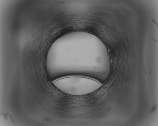 X0000092051153200709121207