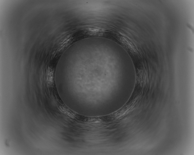 X0000092051154200709121207