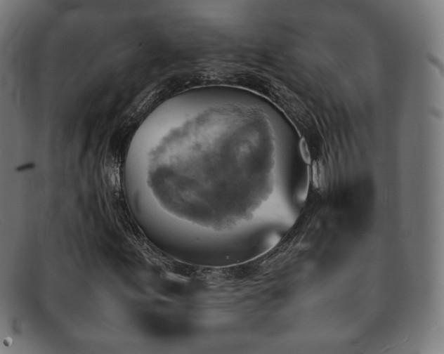 X0000092051155200709121207