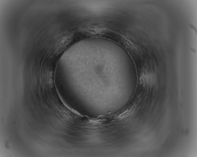 X0000092051156200709121207