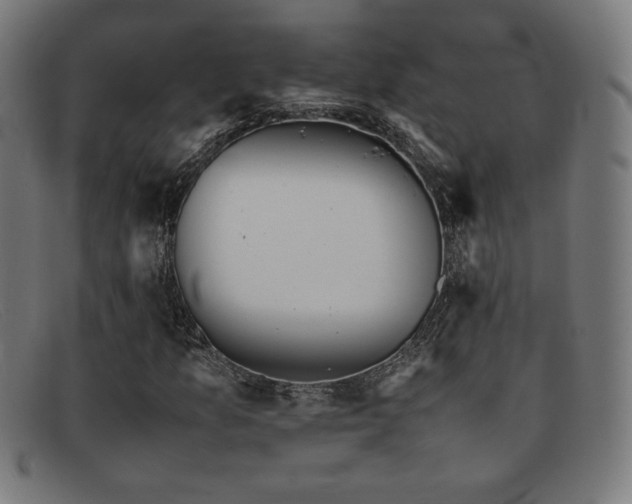 X0000092051157200709121207