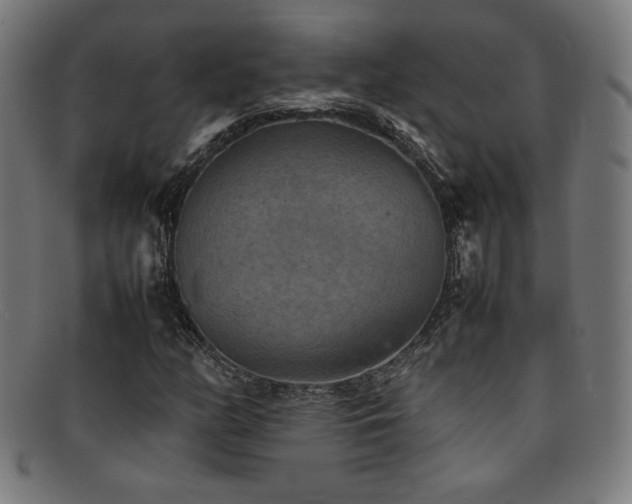 X0000092051158200709121207