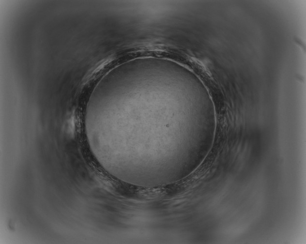 X0000092051159200709121207