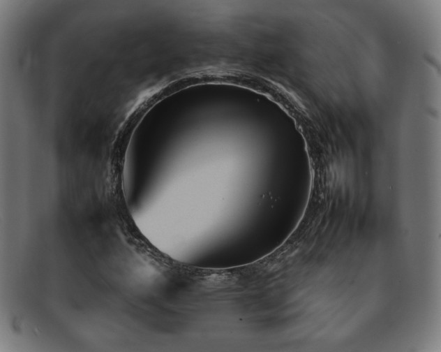 X0000092051160200709121207