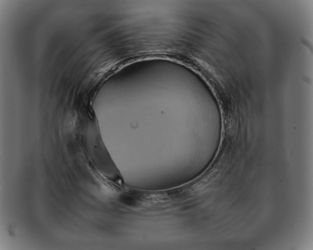 X0000092051161200709121207