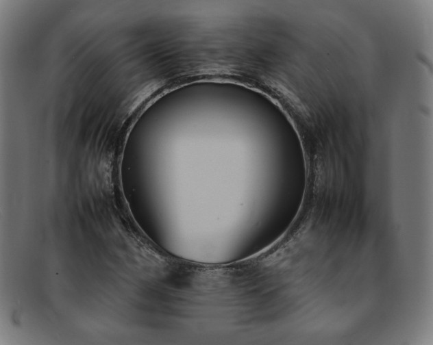 X0000092051162200709121207