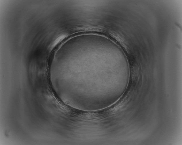 X0000092051163200709121207