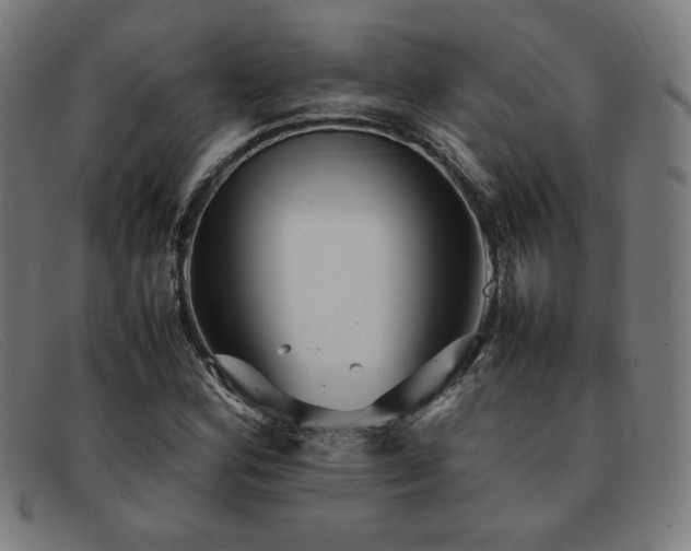 X0000092051164200709121207