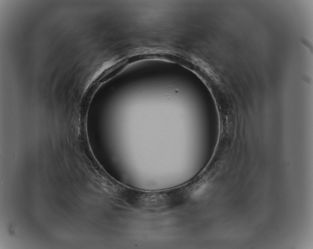 X0000092051165200709121207