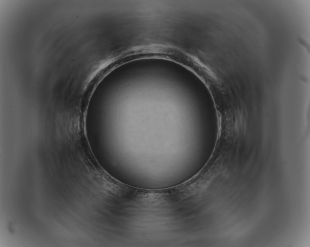 X0000092051166200709121207