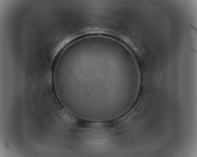 X0000092051167200709121207