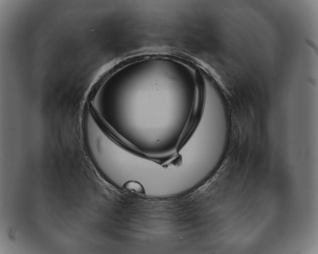 X0000092051168200709121207