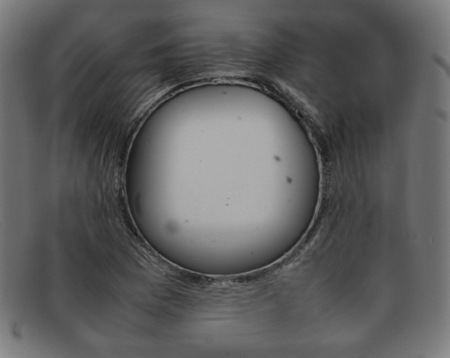 X0000092051169200709121207