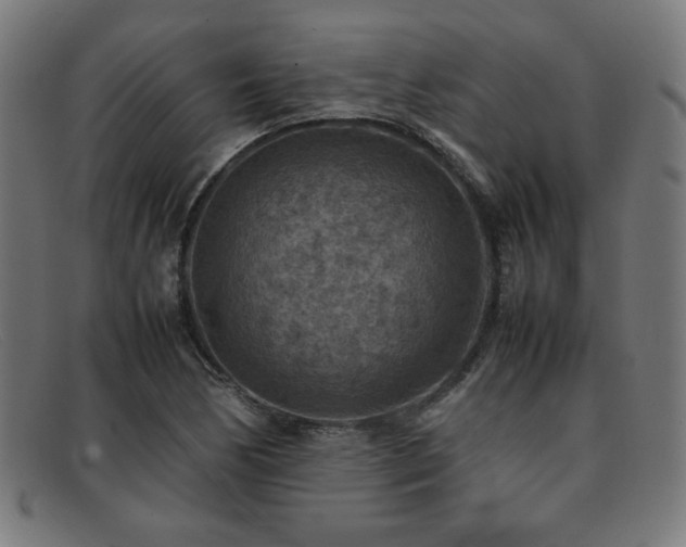 X0000092051170200709121207