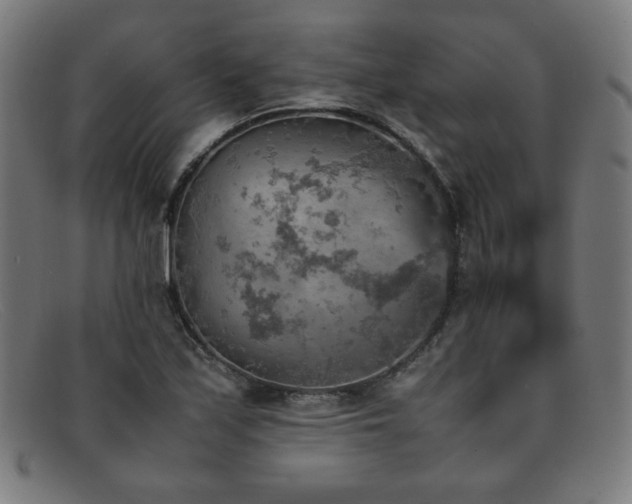 X0000092051171200709121207