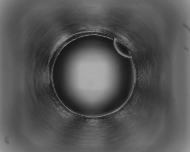 X0000092051172200709121207