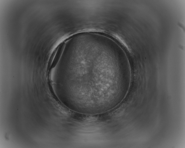 X0000092051173200709121207