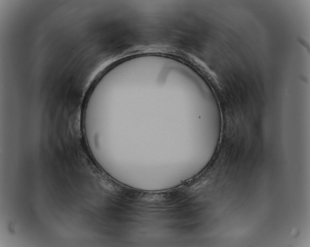 X0000092051174200709121207