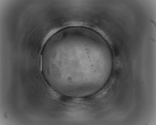 X0000092051175200709121207