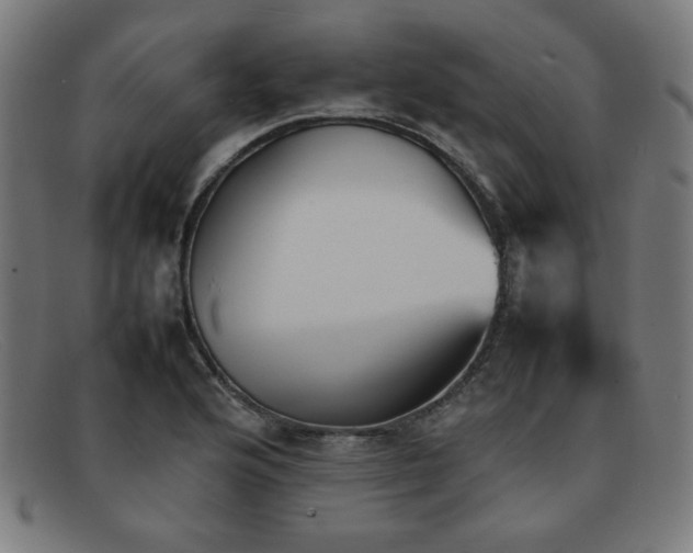 X0000092051176200709121207