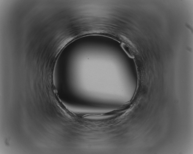 X0000092051177200709121207