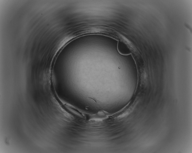 X0000092051178200709121207